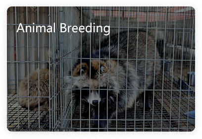 Animal-Breeding